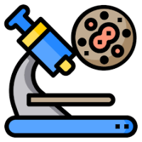 meylingmoodle.milaulas.com